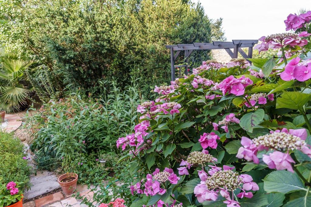 Bed and Breakfast Mas Des Carnassoles Екстер'єр фото